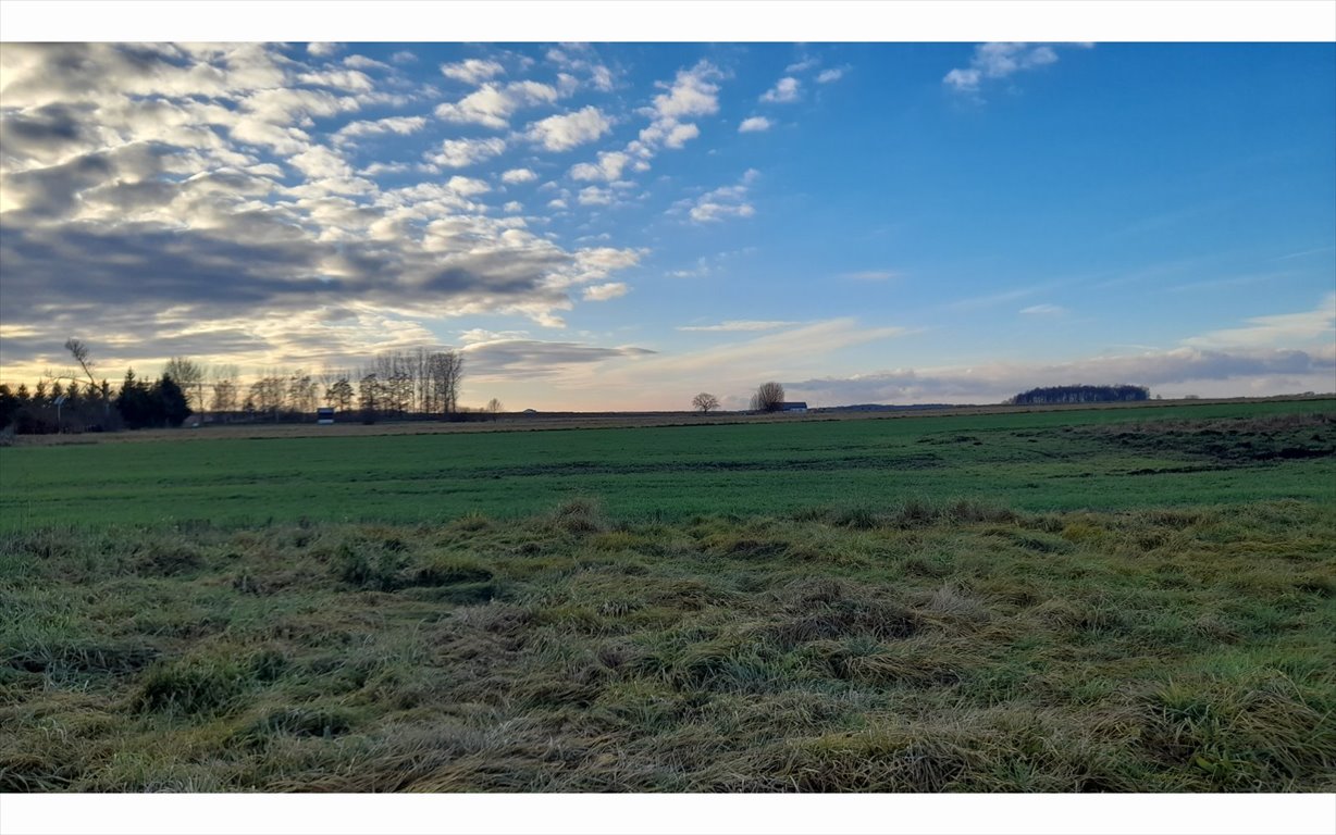 Działka budowlana na sprzedaż Krzeczyn Wielki, Krzeczyn Wielki  26 673m2 Foto 4