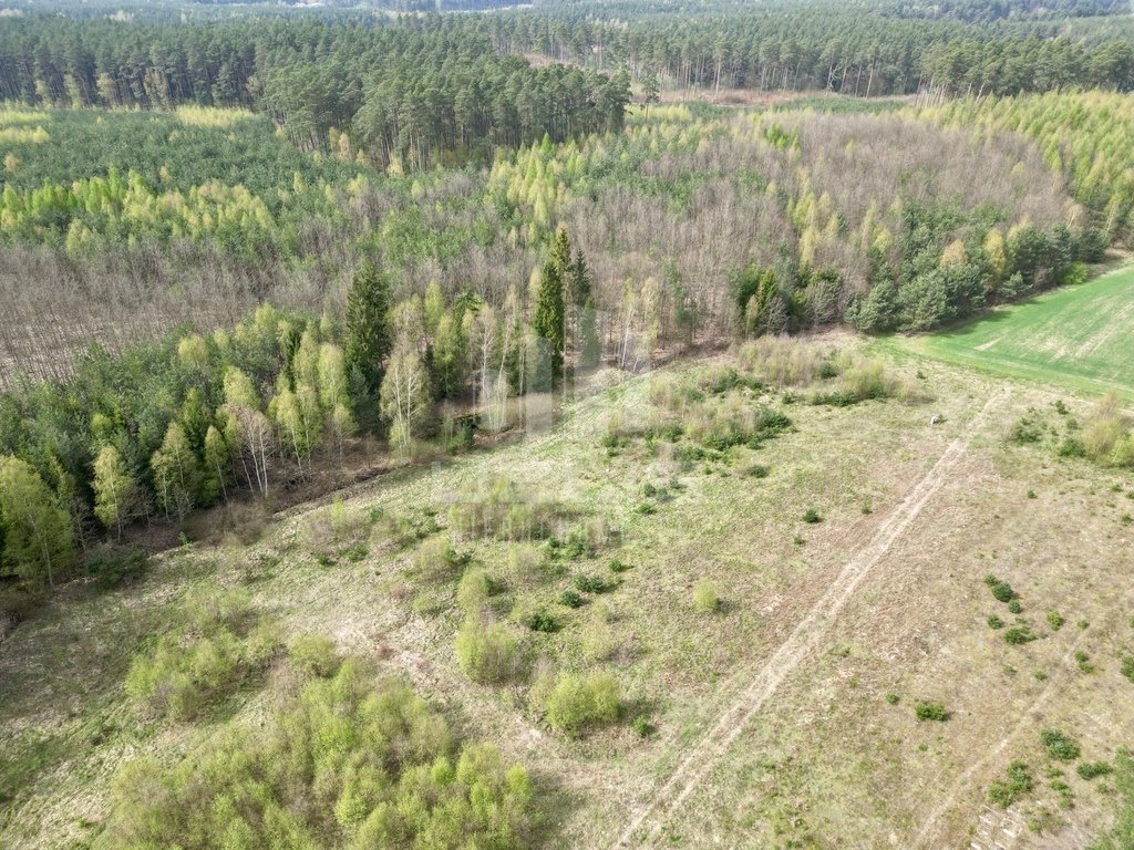 Działka inna na sprzedaż Bietowo, Przylesie  1 051m2 Foto 17