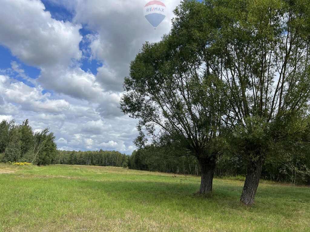 Działka 9500 m² z MPZP, las, prąd, woda, blisko Warszawy Pustelnik, Graniczna  9 500m2 Foto 1