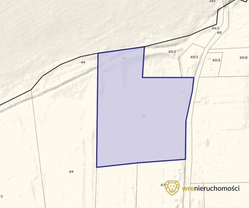 Działka budowlana na sprzedaż Giebułtów, Augustów  9 929m2 Foto 1