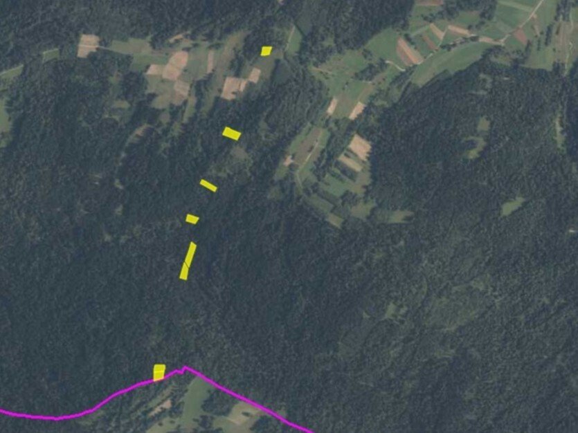 Działki leśne w Podsarniu, 7 764 m2, ZL i ZN, atrakcyjna cena Podsarnie  7 764m2 Foto 1