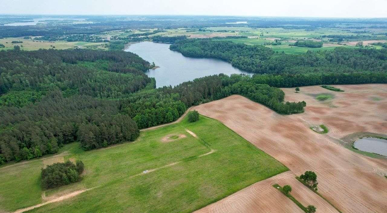 Działka rolna na sprzedaż Nowe Krzywe  3 011m2 Foto 2