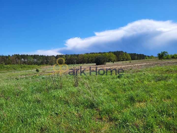 Działka przemysłowo-handlowa na sprzedaż Trzciel  15 100m2 Foto 1