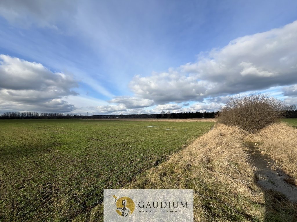 Działka rolna 4600 m² w Sobieszewie z możliwością rekreacji Gdańsk, Sobieszewo  4 600m2 Foto 1