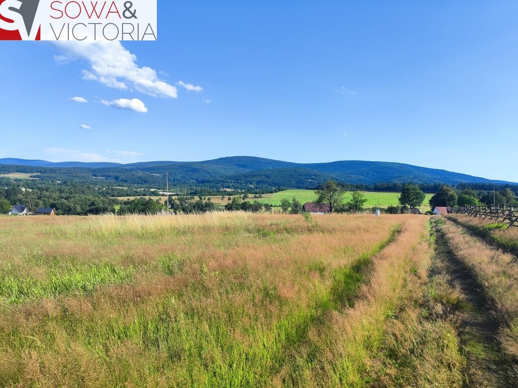 Działka budowlana na sprzedaż Pobiedna  1 114m2 Foto 3