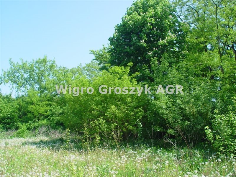 Działka budowlana na sprzedaż Nowy Dziekanów 5 352m2 Foto 1 Działka budowlana na sprzedaż Nowy Dziekanów 5 352m2 Foto 1