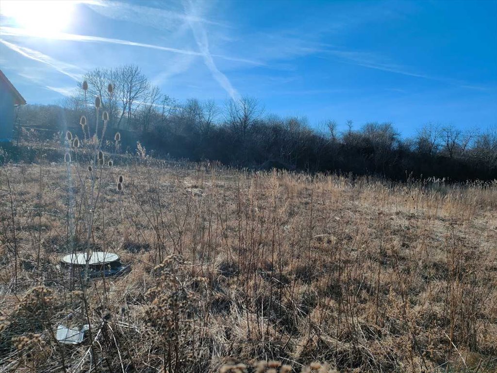 Działka budowlana na sprzedaż Bielawa  1 070m2 Foto 1