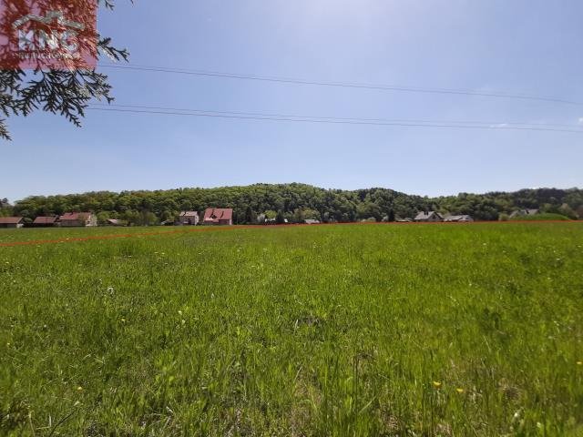 Działka budowlana na sprzedaż Rożnów  3 001m2 Foto 6