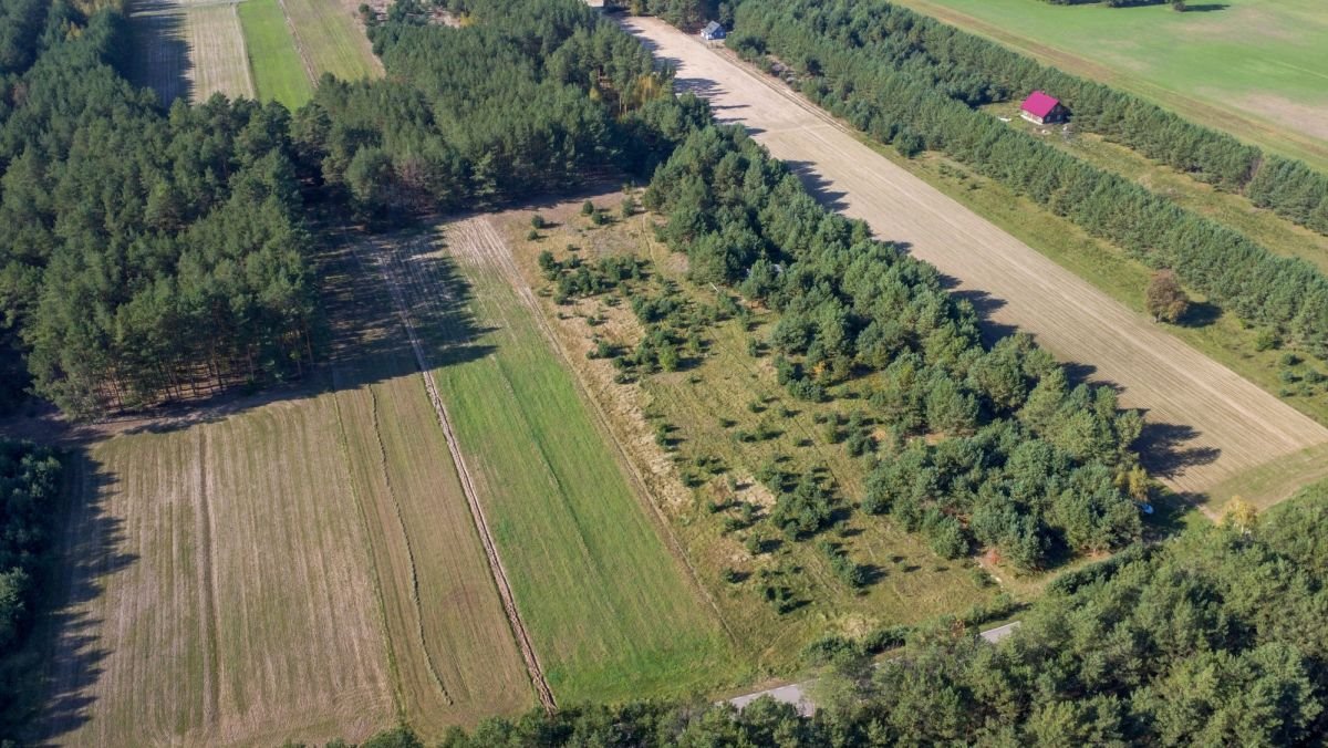 Działka rekreacyjna na sprzedaż Michałowo  9 500m2 Foto 9