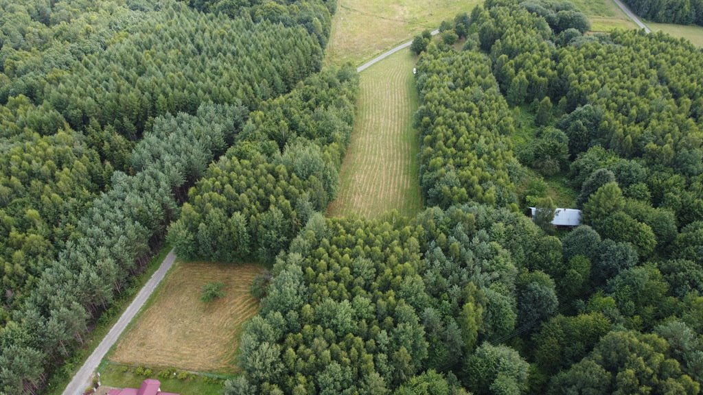 Działka budowlana na sprzedaż Nowy Borek  8 060m2 Foto 6