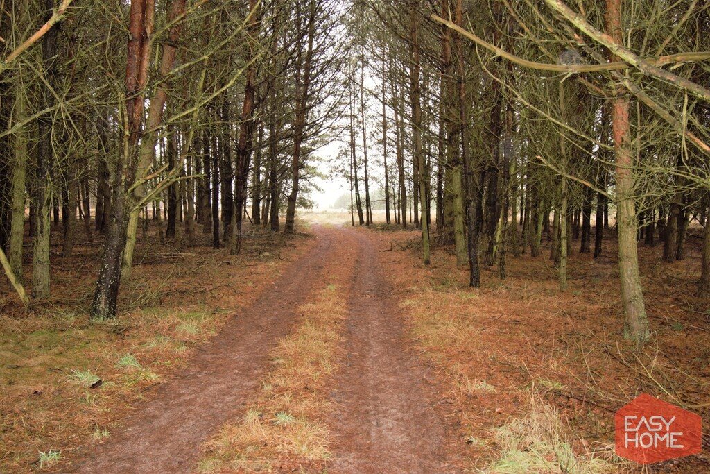 Działka budowlana na sprzedaż Kuźniczka  2 881m2 Foto 6