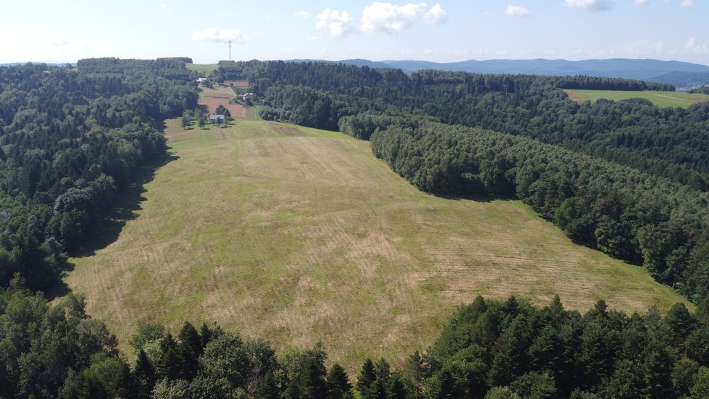 Działka budowlana na sprzedaż Lutcza  96 200m2 Foto 13