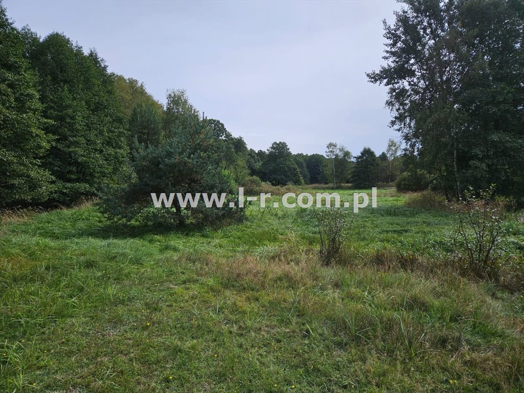 Działka leśna na sprzedaż Sumina, Dworcowa  6 820m2 Foto 1