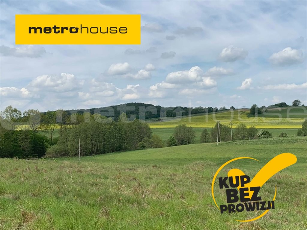 Działka inna na sprzedaż Trzepowo, Przywidz 1 002m2 Foto 1 Działka inna na sprzedaż Trzepowo, Przywidz 1 002m2 Foto 1