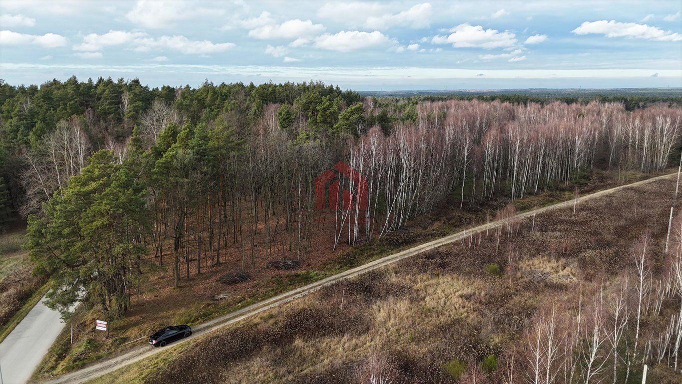 Działka budowlana na sprzedaż Czarna Sędziszowska  1 350m2 Foto 1