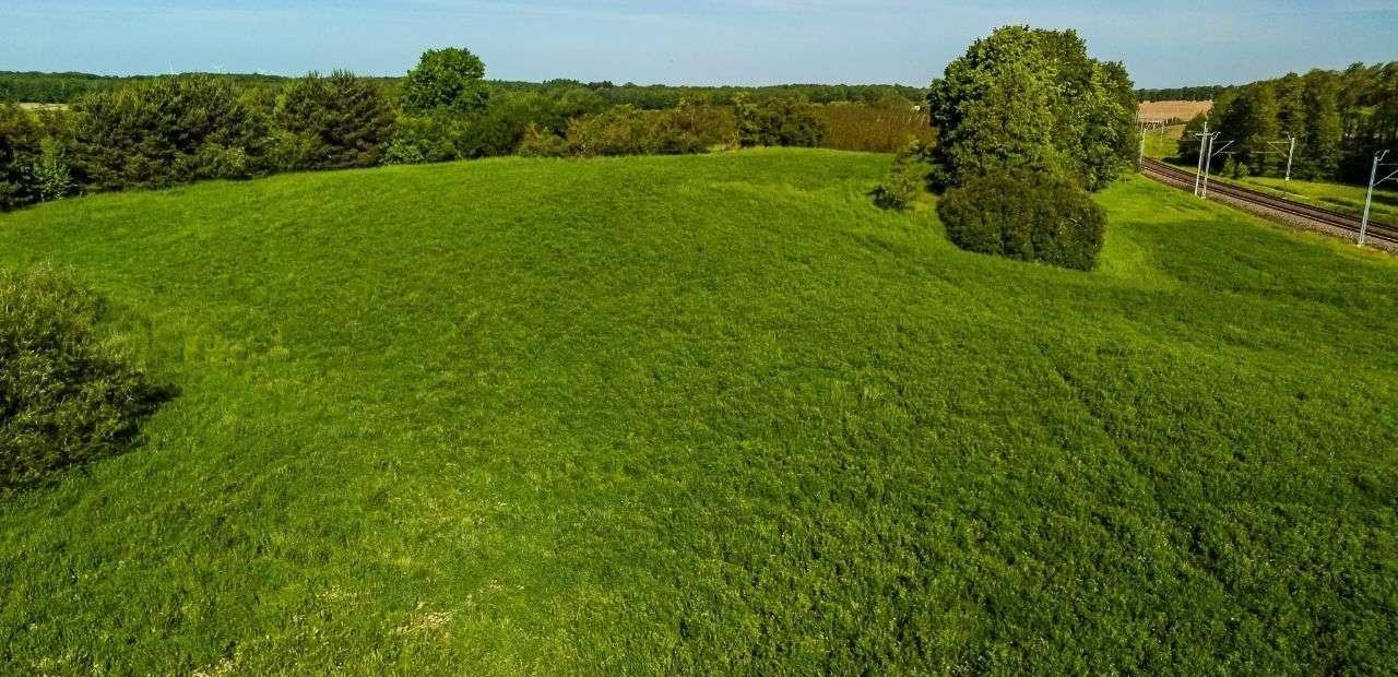 Działka rolna na sprzedaż Nejdyki  17 197m2 Foto 10