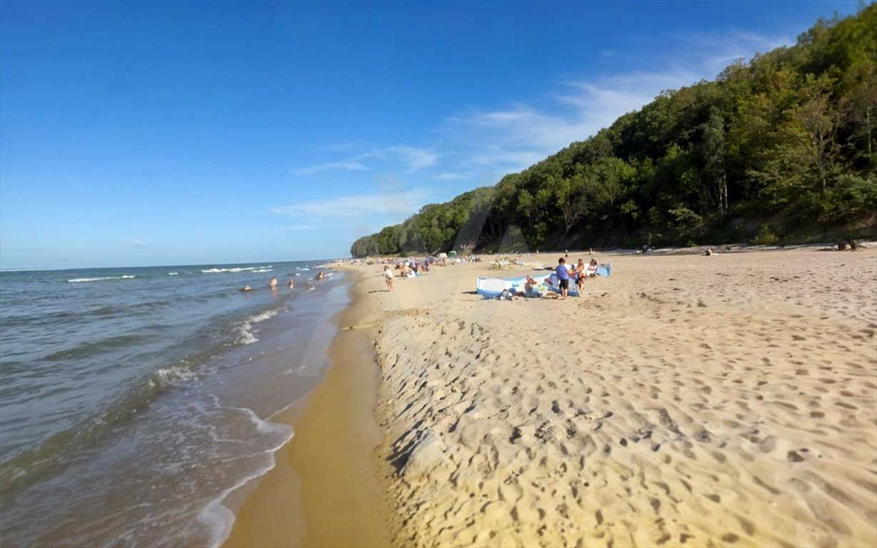 Działka inna na sprzedaż Karwieńskie Błoto Drugie, Wczasowa  11 000m2 Foto 7