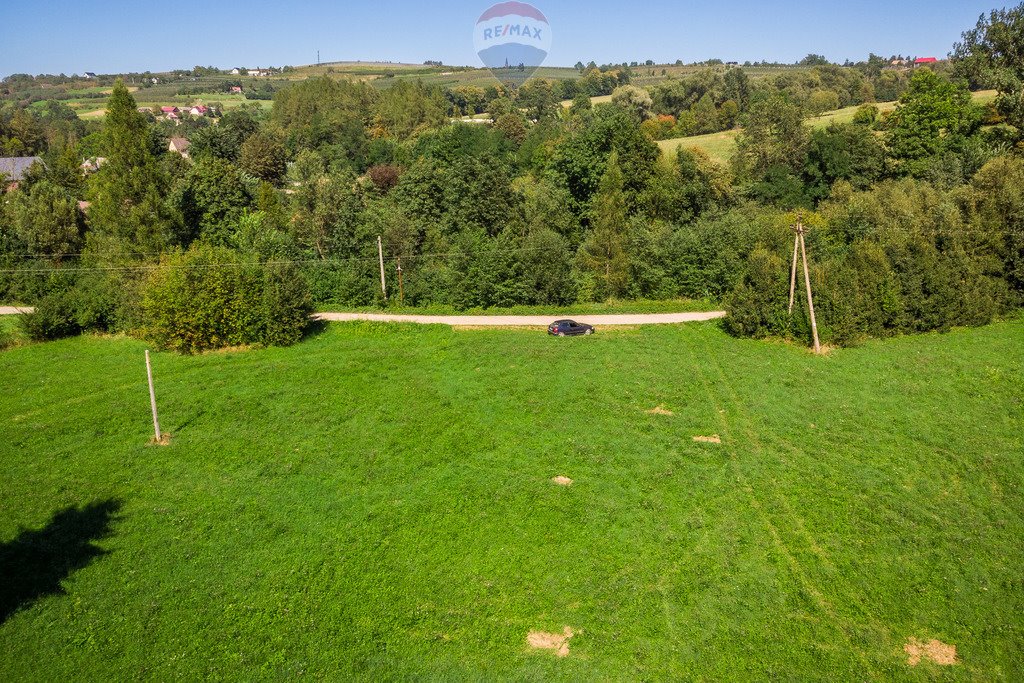 Działka budowlana na sprzedaż Pogorzany  8 711m2 Foto 14