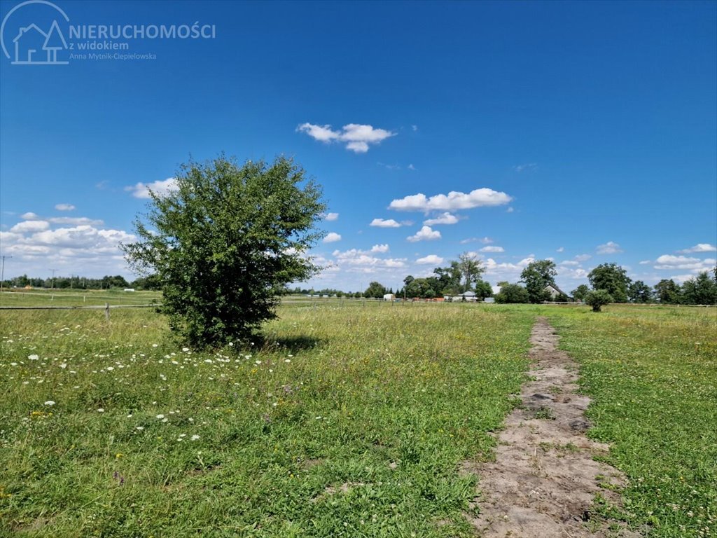 Działka komercyjna na sprzedaż Niepołomice  2 667m2 Foto 6