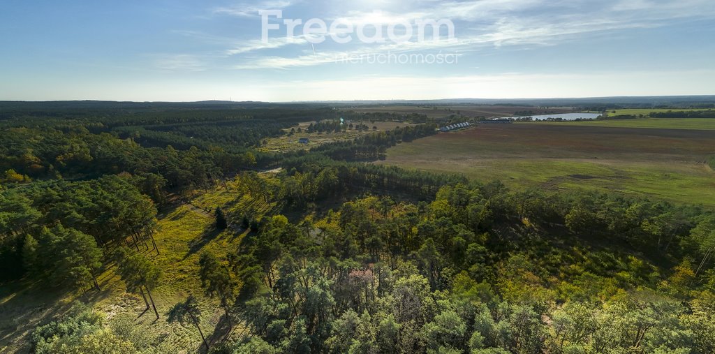 Działka budowlana na sprzedaż Trzaskowo  16 398m2 Foto 9