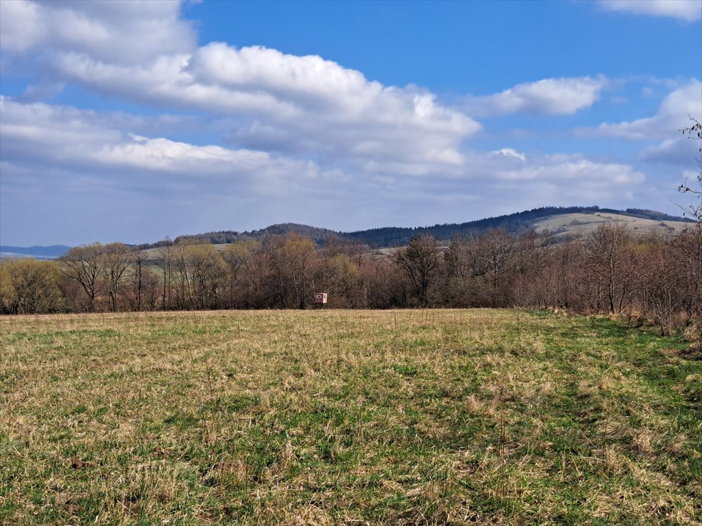 Działka rolna na sprzedaż Pielgrzymka  17 019m2 Foto 1