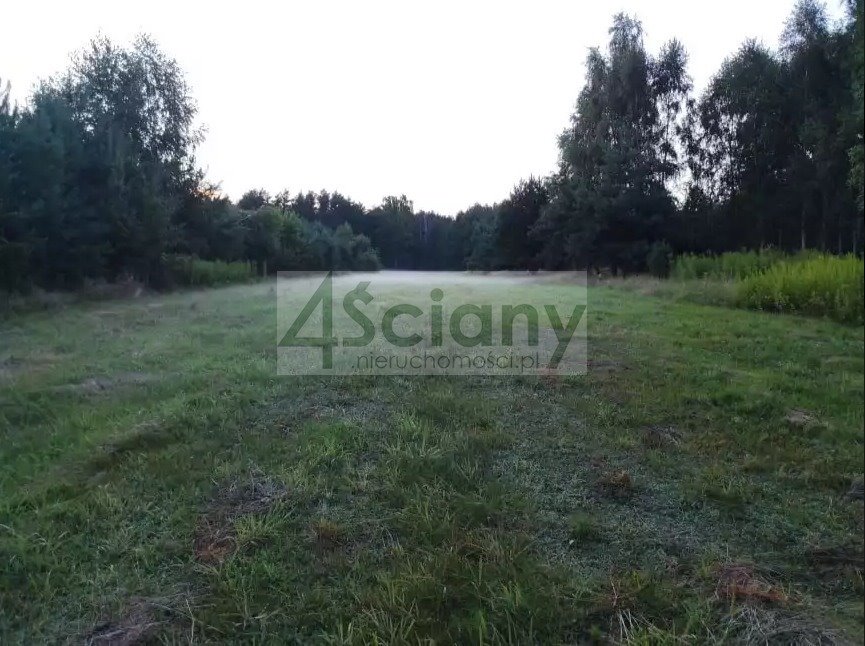 Działka rekreacyjna 3000 m² z prądem i MPZP w Arciechowie Arciechów  3 000m2 Foto 1