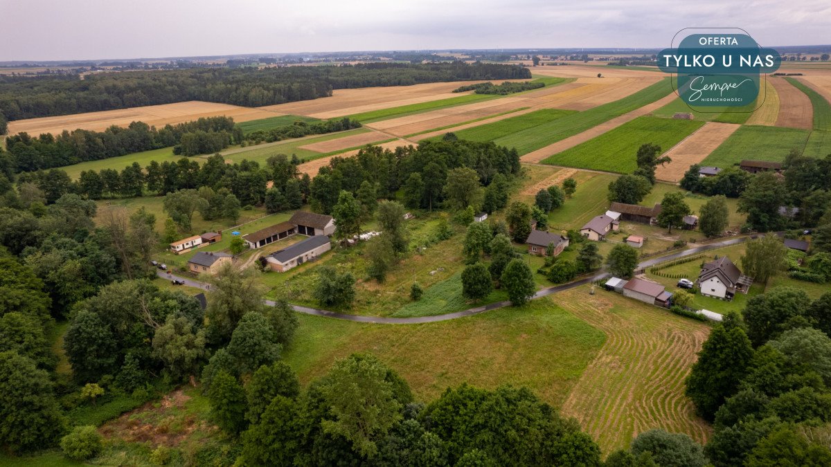 Działka budowlana na sprzedaż Magnusy  3 713m2 Foto 8