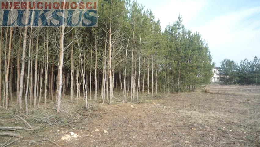 Działka budowlana na sprzedaż Prace Duże, Prace Duże 1 204m2 Foto 1 Działka budowlana na sprzedaż Prace Duże, Prace Duże 1 204m2 Foto 1