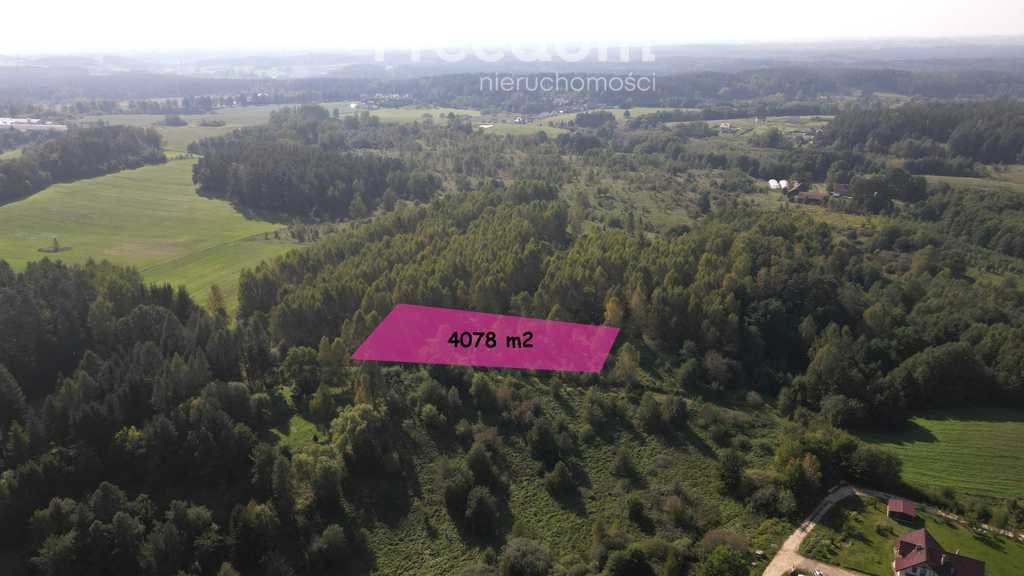 Działka inna na sprzedaż Ługwałd  4 078m2 Foto 2