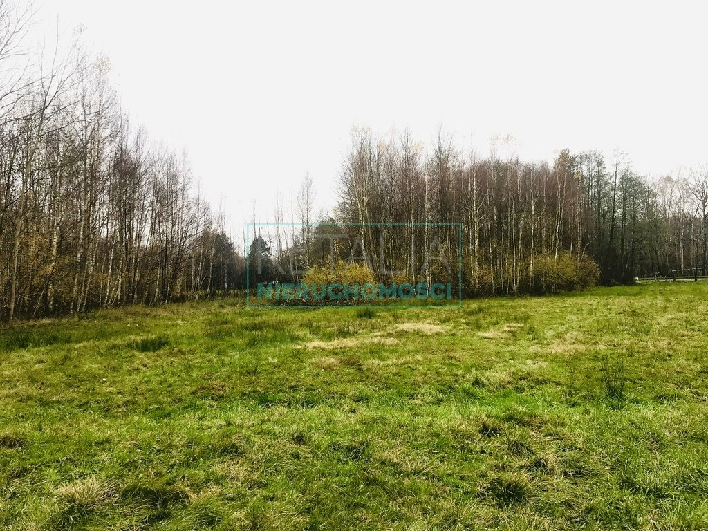 Działka 3000m² w Radziejowicach, cicha i sucha, blisko natury Tartak Brzózki  3 000m2 Foto 1