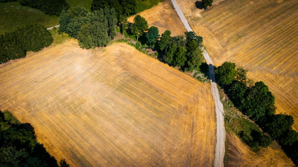 Działka budowlana na sprzedaż Adamów  1 255m2 Foto 1