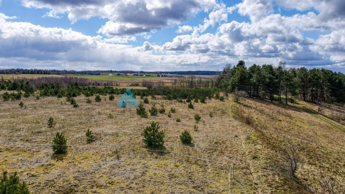 Działka rolna na sprzedaż Zakrzewo  3 000m2 Foto 11