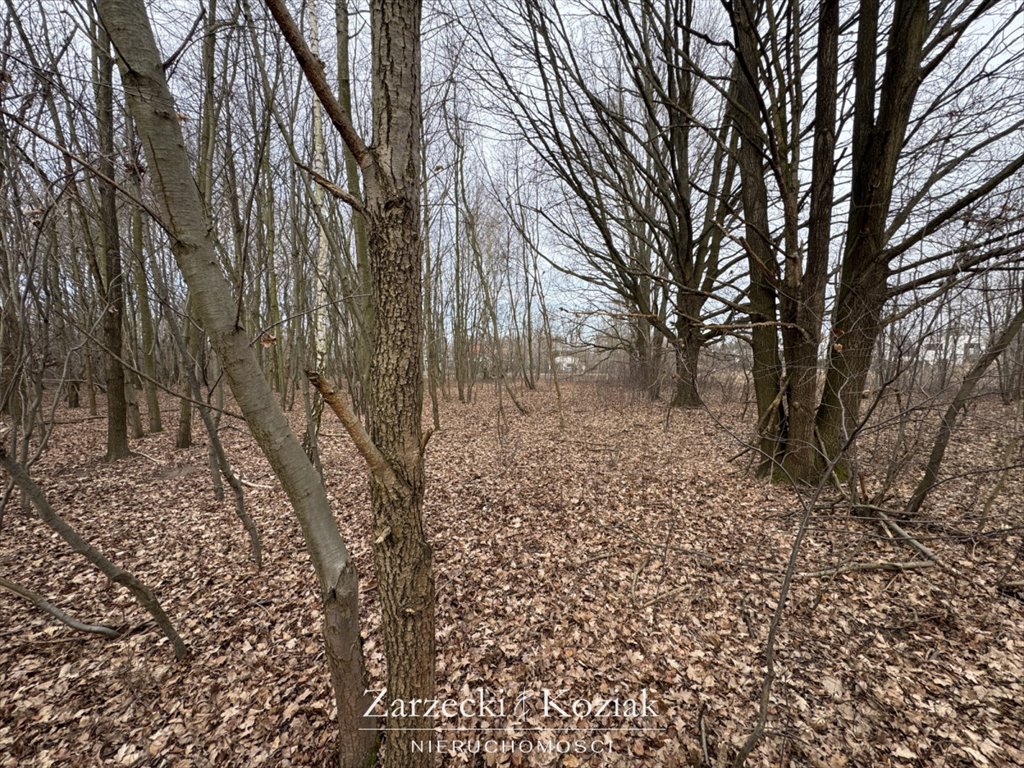 Działka budowlana na sprzedaż Milanówek, Chrzanów, Księżycowa  2 003m2 Foto 5
