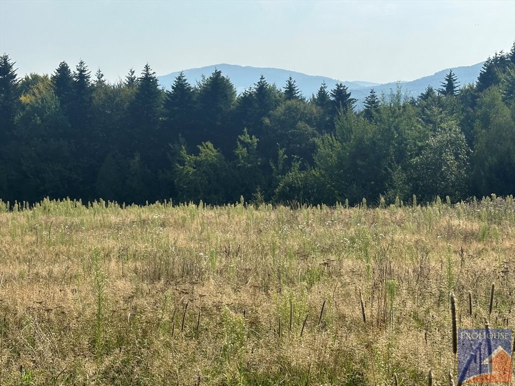 Działka budowlana na sprzedaż Stare Rybie  900m2 Foto 1