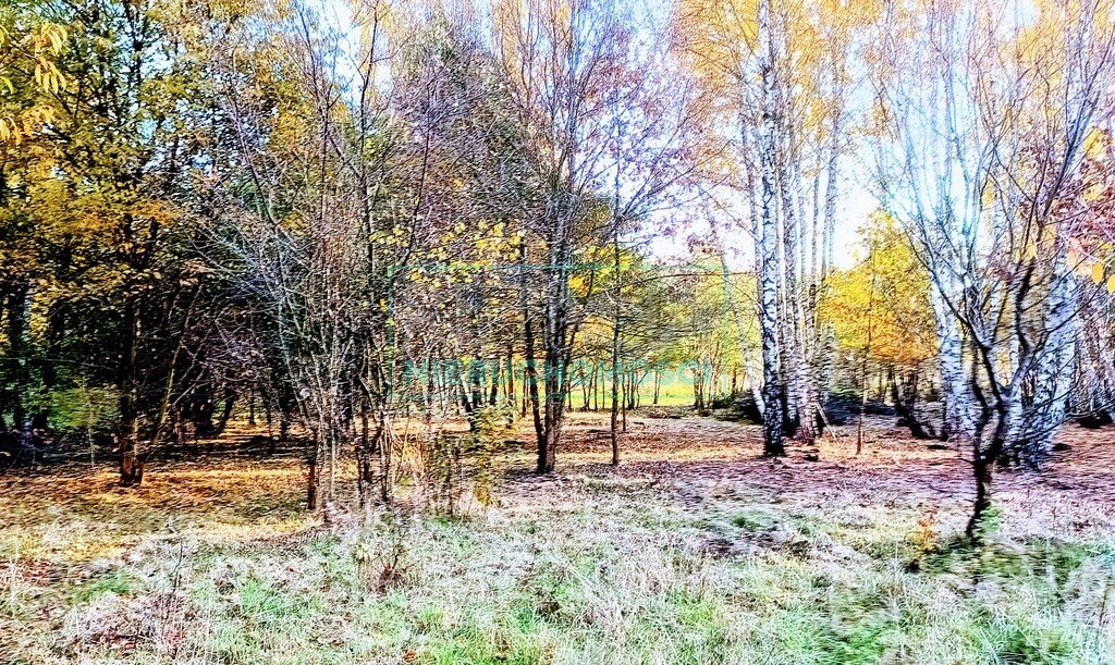 Działka budowlana na sprzedaż Radonie  1 500m2 Foto 7