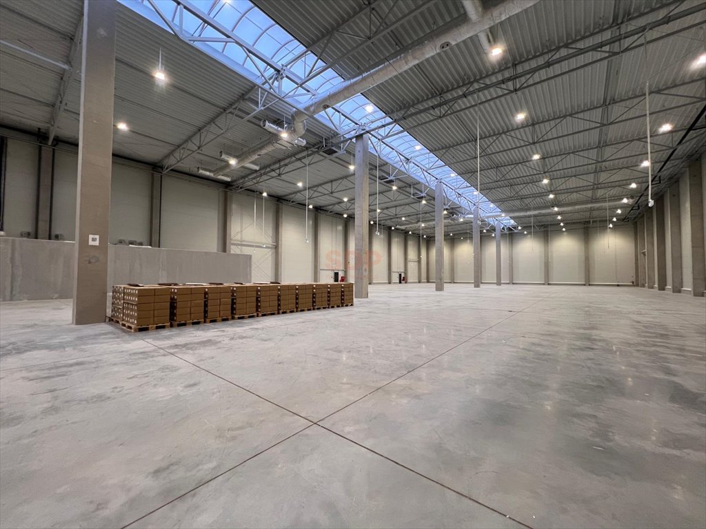 Hala logistyczna 2860 m² z biurem, dokami, ogrzewaniem Domasław  2 859m2 Foto 1