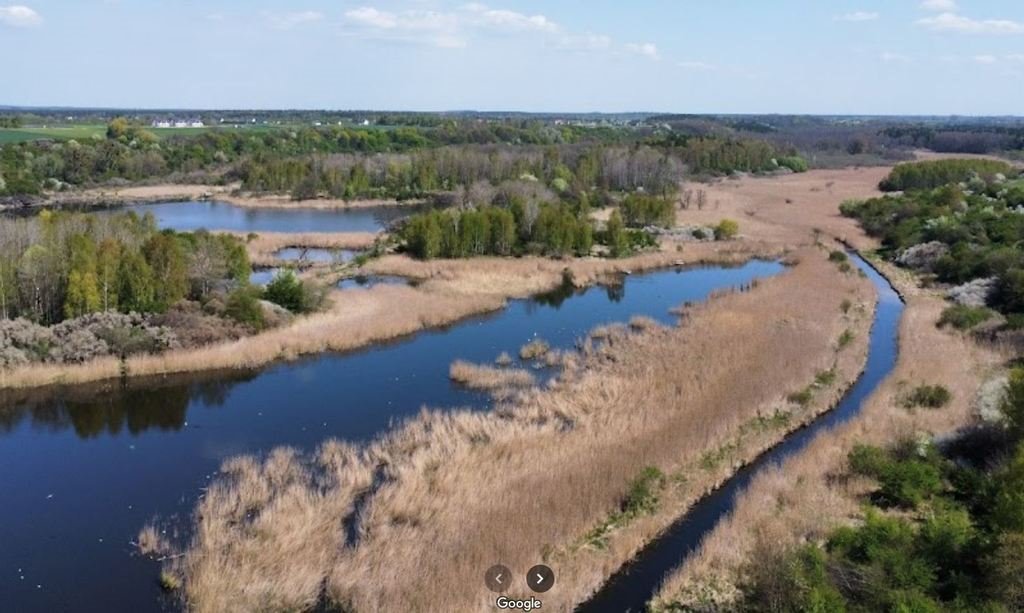 Działka budowlana na sprzedaż Gortatowo, Nad Cybiną  1 182m2 Foto 5