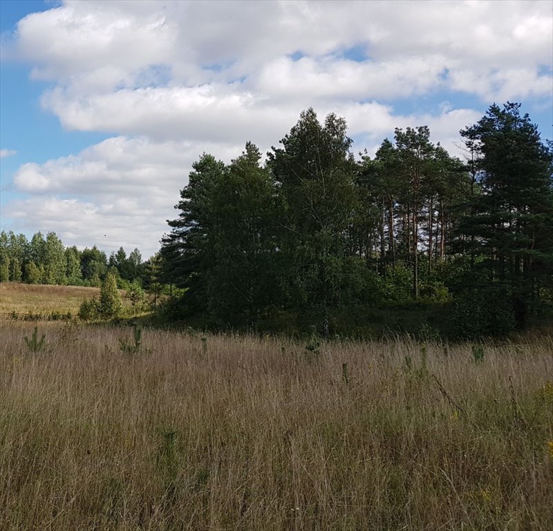 Działka rekreacyjna na sprzedaż Dobki  1 250m2 Foto 1