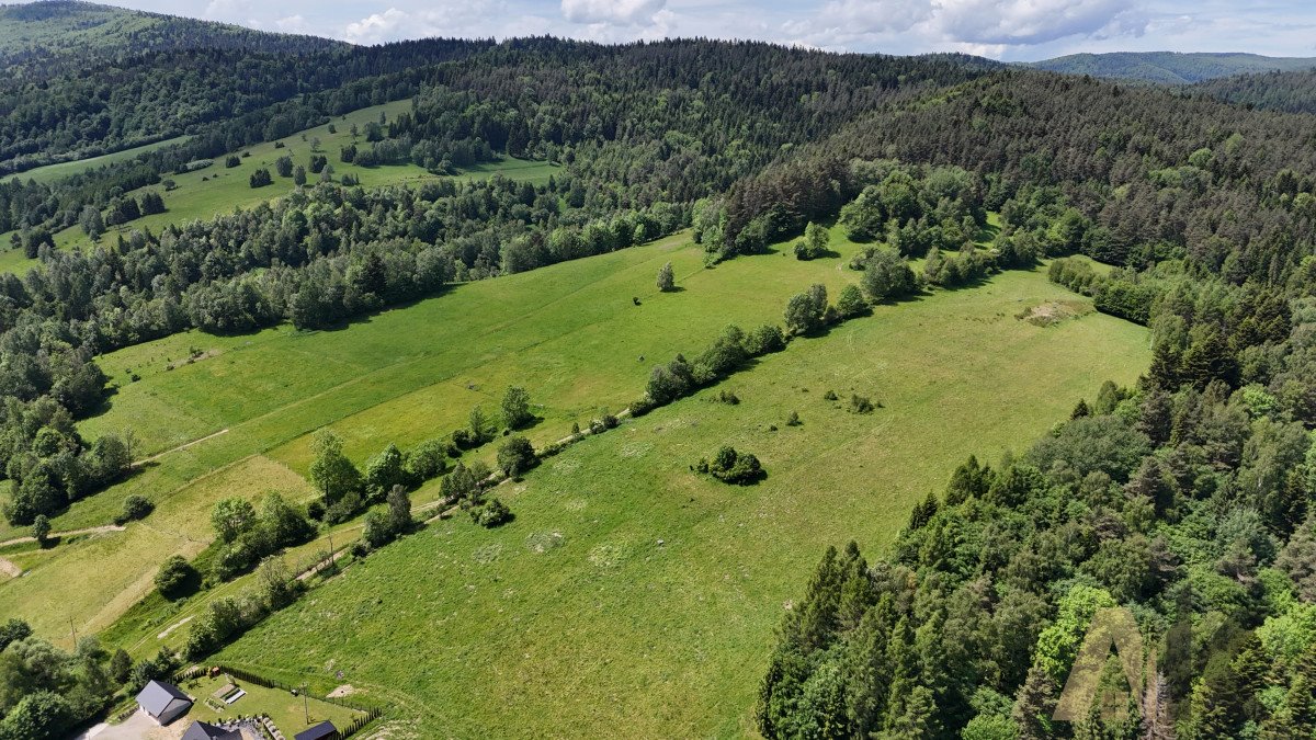 Działka budowlana na sprzedaż Łosie  1 400m2 Foto 9