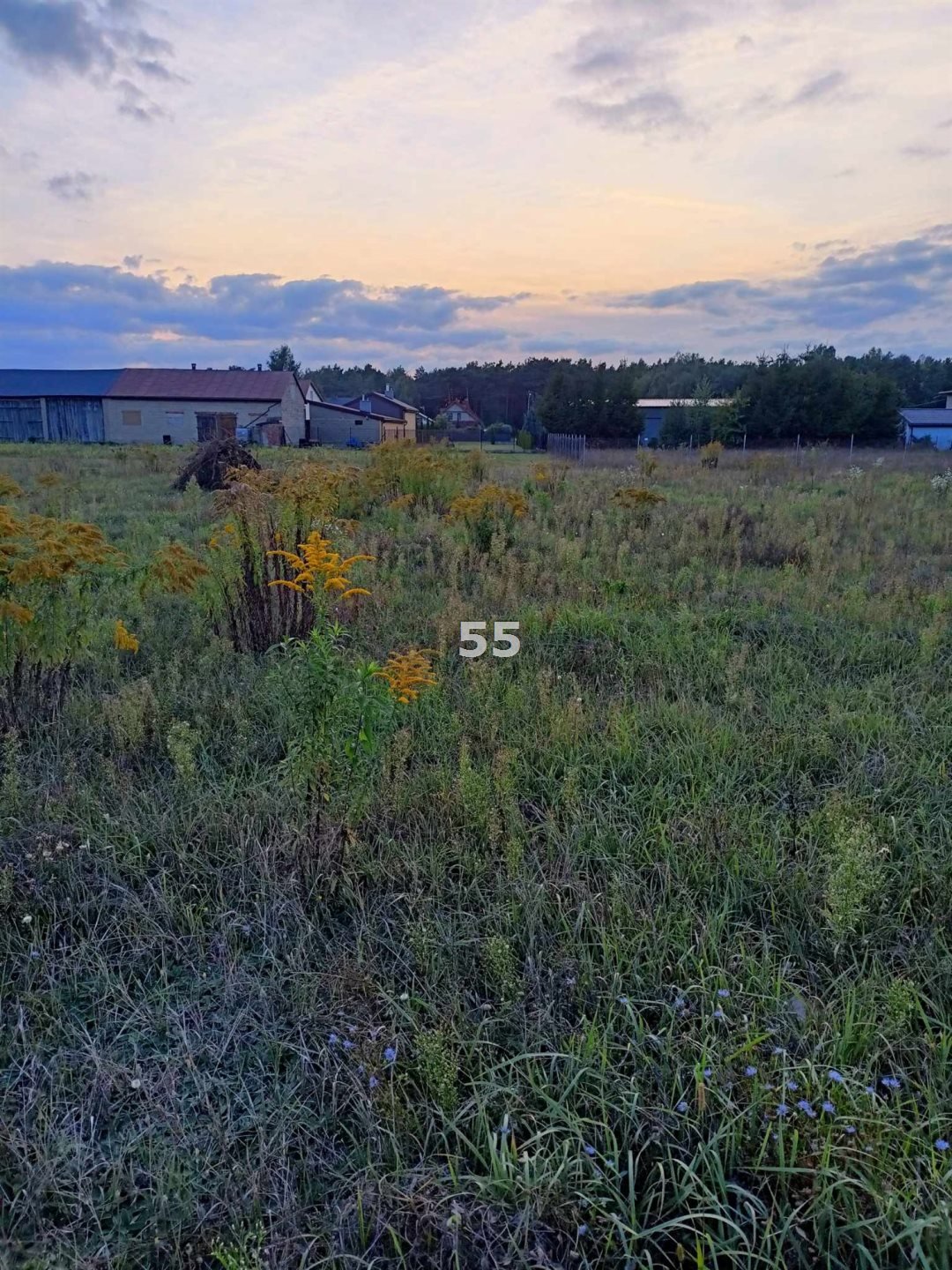 Działka inna na sprzedaż Kania Góra  1 700m2 Foto 4