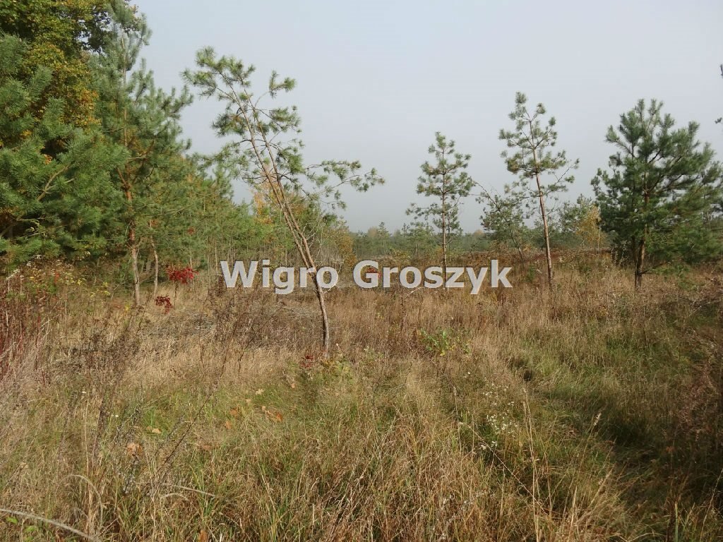 Sprzedam malowniczą działkę 1000 m² z widokiem na las i rzeki Wymysły  1 000m2 Foto 1