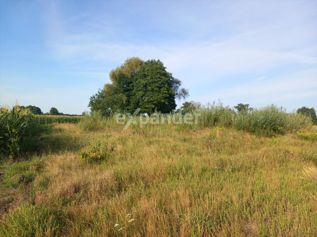 Działka rolna na sprzedaż Kruszyn Krajeński, Lipowa  28 705m2 Foto 6