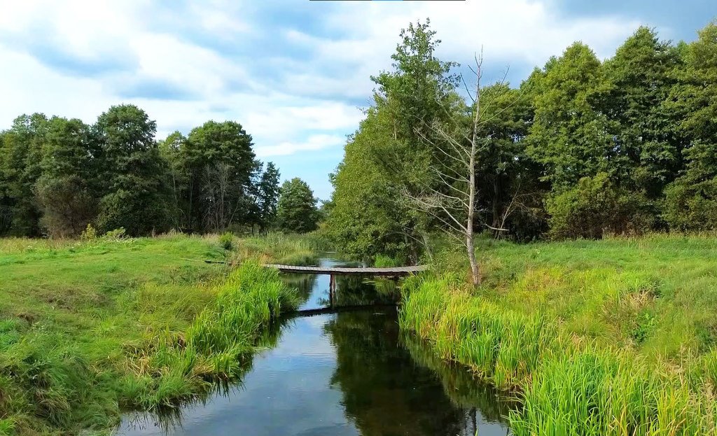 Działka budowlana na sprzedaż Spore  1 674m2 Foto 14