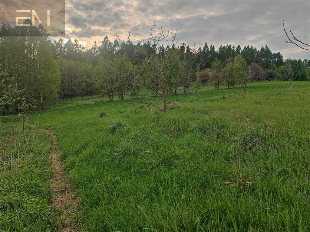 Działka budowlana na sprzedaż Hadle Kańczuckie  3 300m2 Foto 14