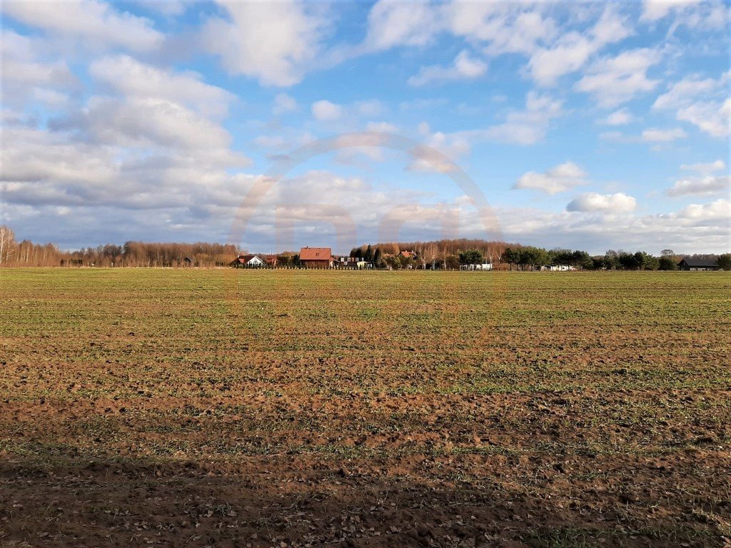 Działka budowlana na sprzedaż Regiel  1 058m2 Foto 15