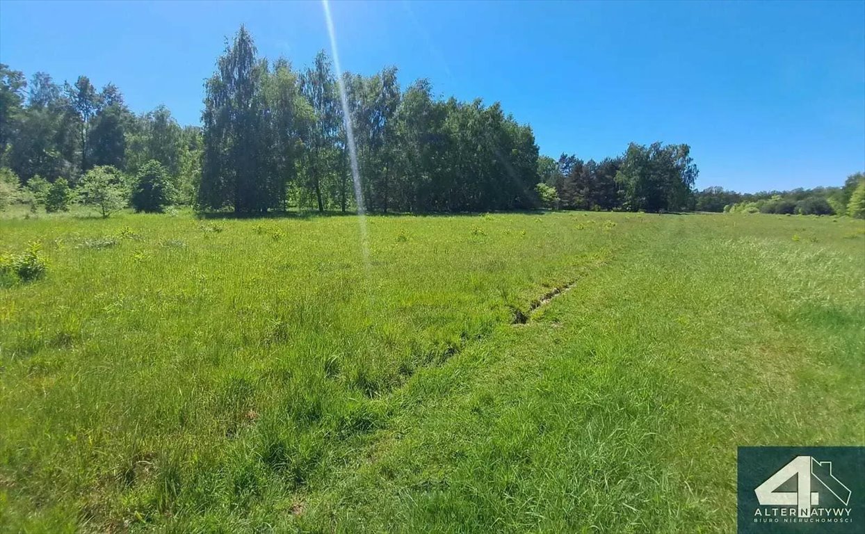 Działka inna na sprzedaż Pabianice, Pabianicka  1 500m2 Foto 6