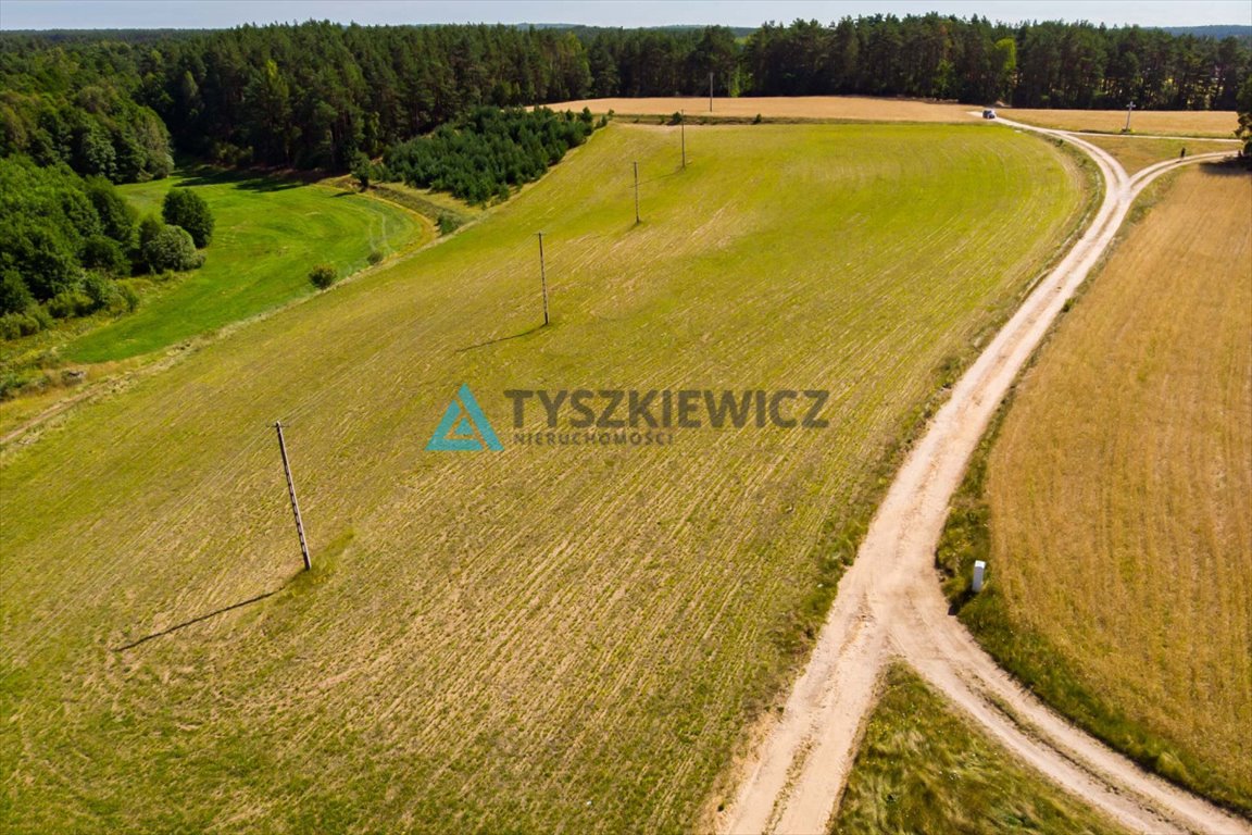 Działka rolna na sprzedaż Łubiana  3 567m2 Foto 4