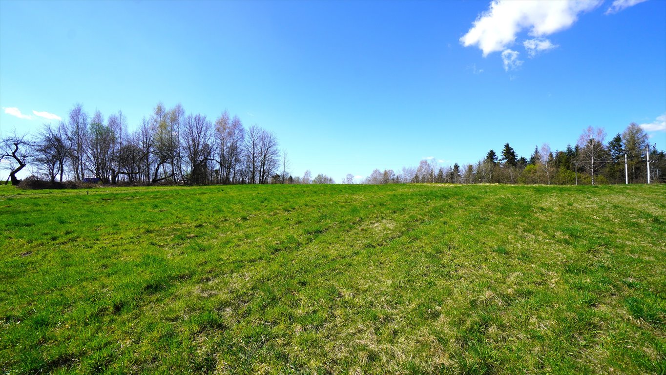 Działka 2 ha z możliwością zabudowy i rekreacji - zapraszam Biecz  20 000m2 Foto 1