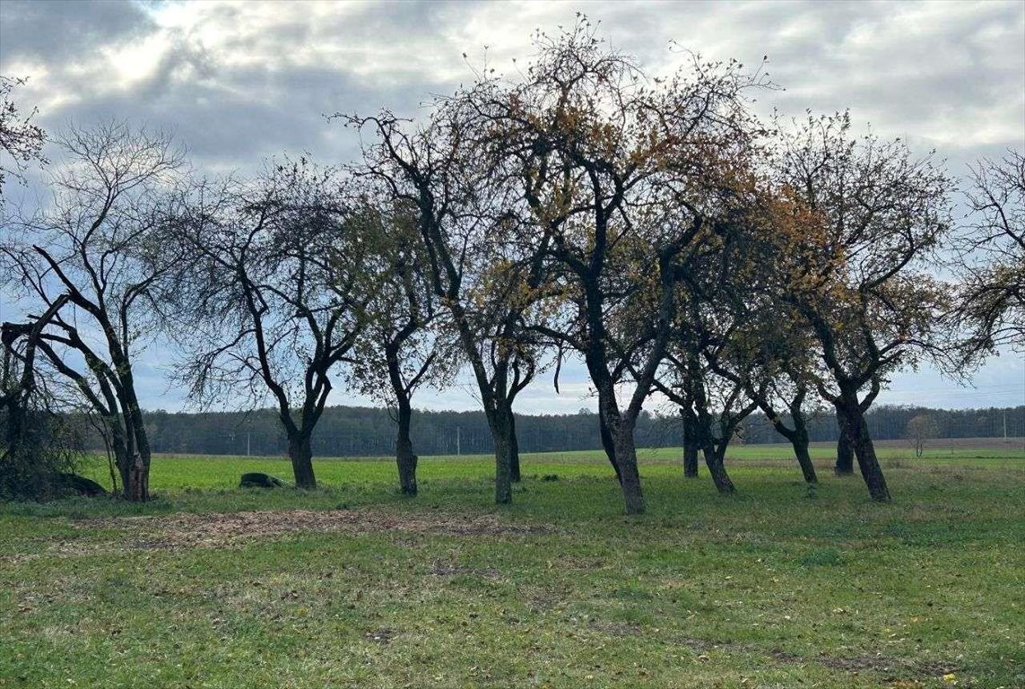 Dom na sprzedaż Grądy-Możdżenie, Grądy-Możdżenie 3  200m2 Foto 13