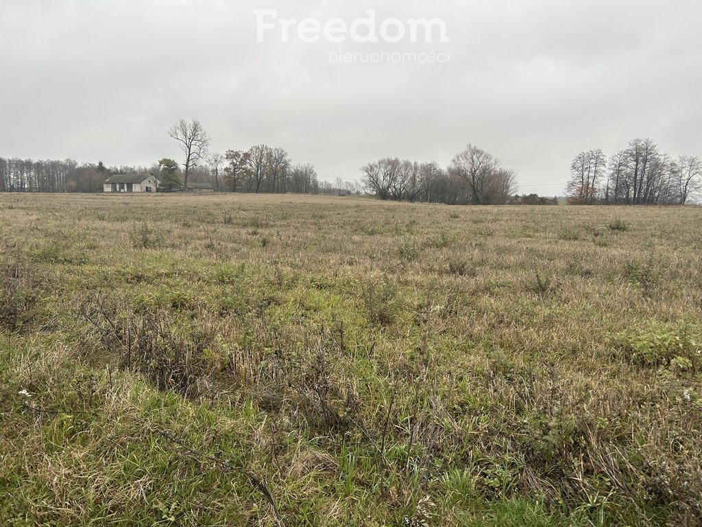 Działka inna na sprzedaż Karbowskie  3 037m2 Foto 10